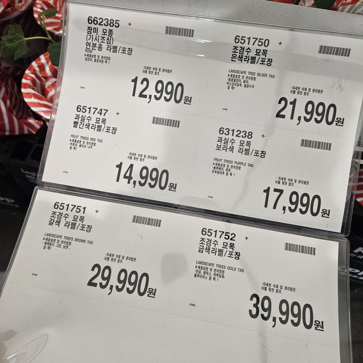 KakaoTalk_20250409_222115015_02.jpg